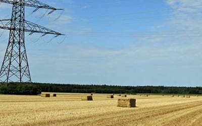 Bund Naturschutz zieht gruene Bilanz