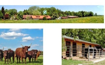 Klokerhof Hechenwang Ammersee