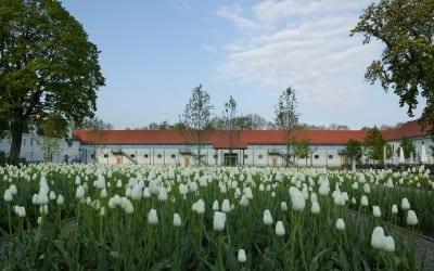 März 2023 Veranstaltungsprogramm fürstenfeld