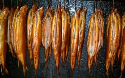 Fischrauchworkshops Starnberger See