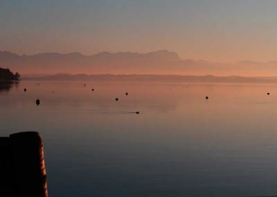 Blick von der Seeterrasse auf den Starnberger See