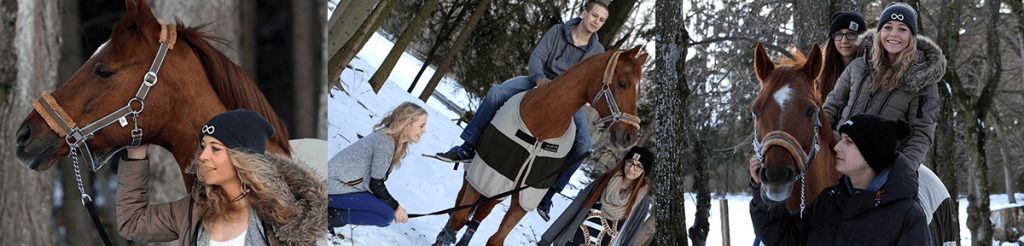Drei Freund am Ammersee beim Ausritt mit ihrem Pferd