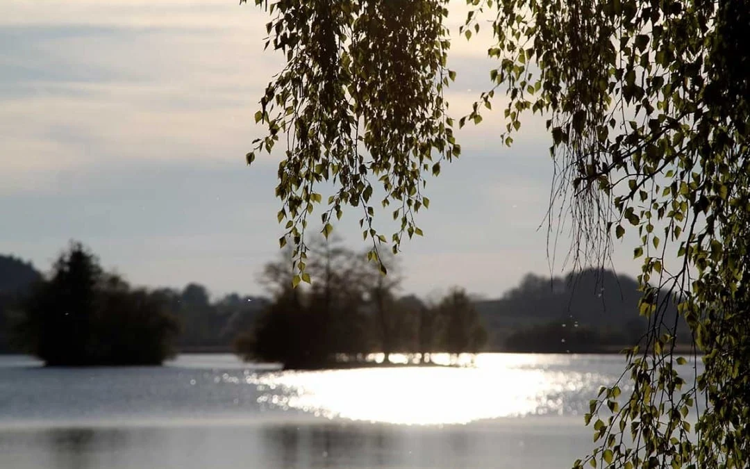 Der Seehamer See