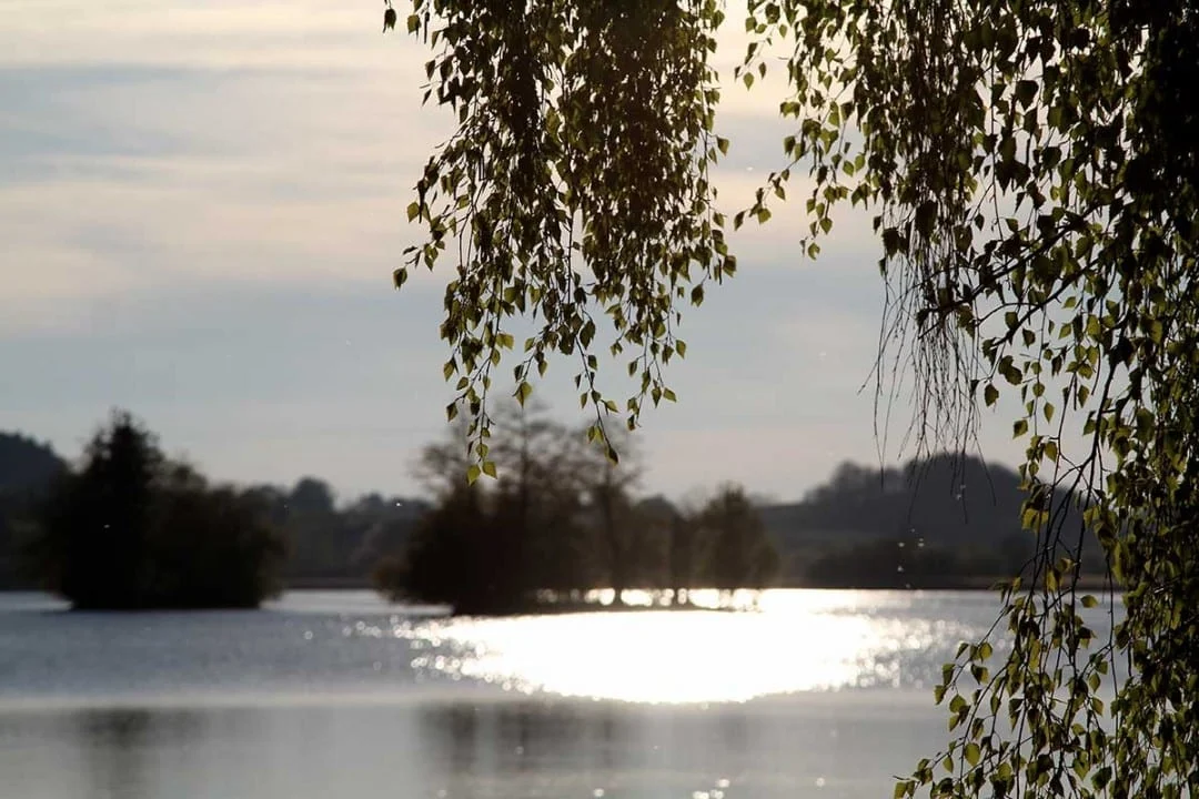 Der Seehamer See bei Rosenheim