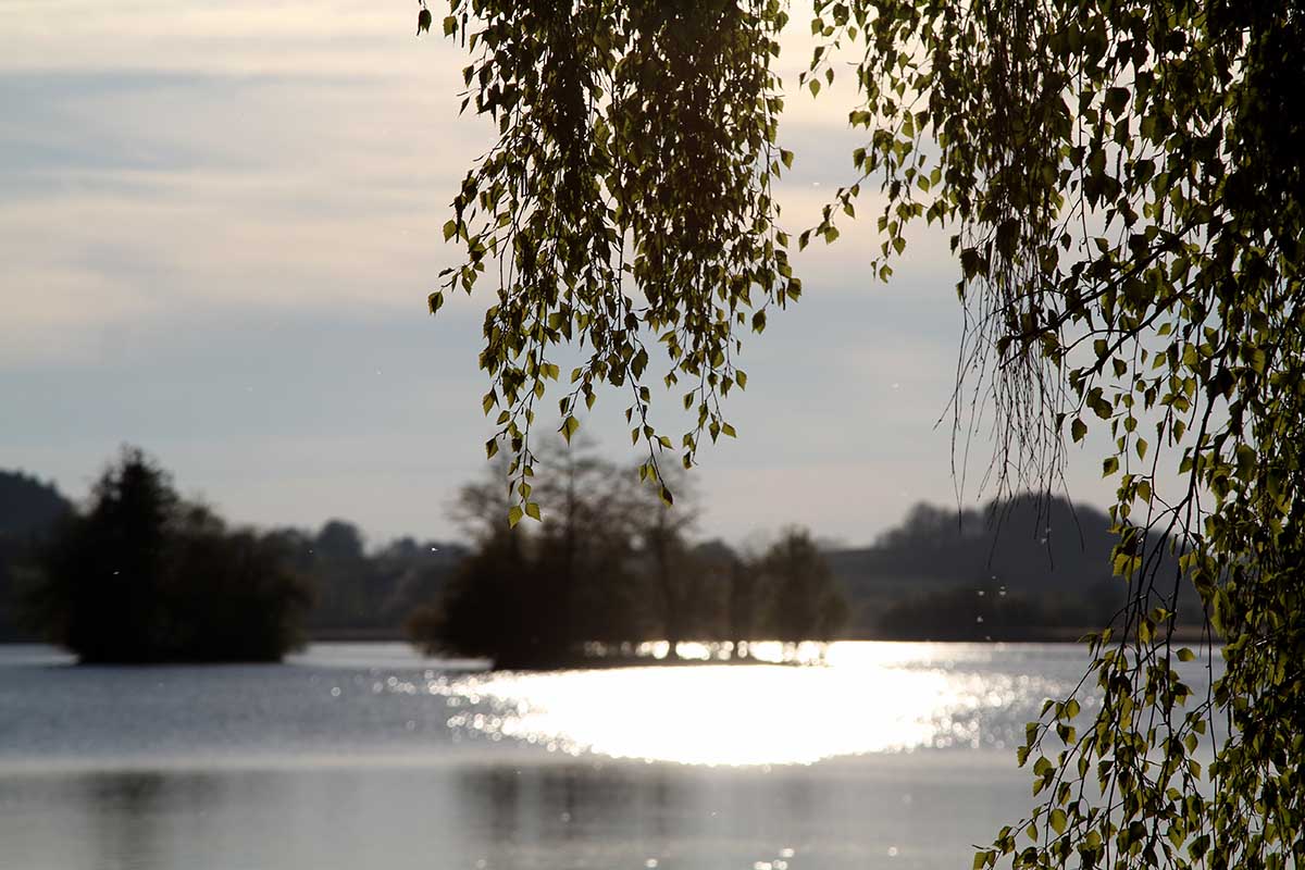 Der Seehamer See