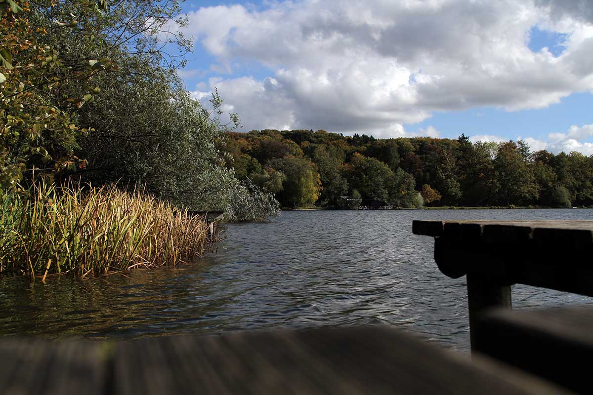 Der Wesslinger See