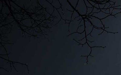 Das war die Sonnenfinsternis am 20.03.2015