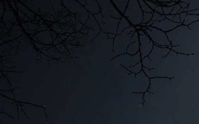 10. - 14.05.2023 großes Reitfest Erdbeerhof Glantz 36 Das war die Sonnenfinsternis am 20.03.2015