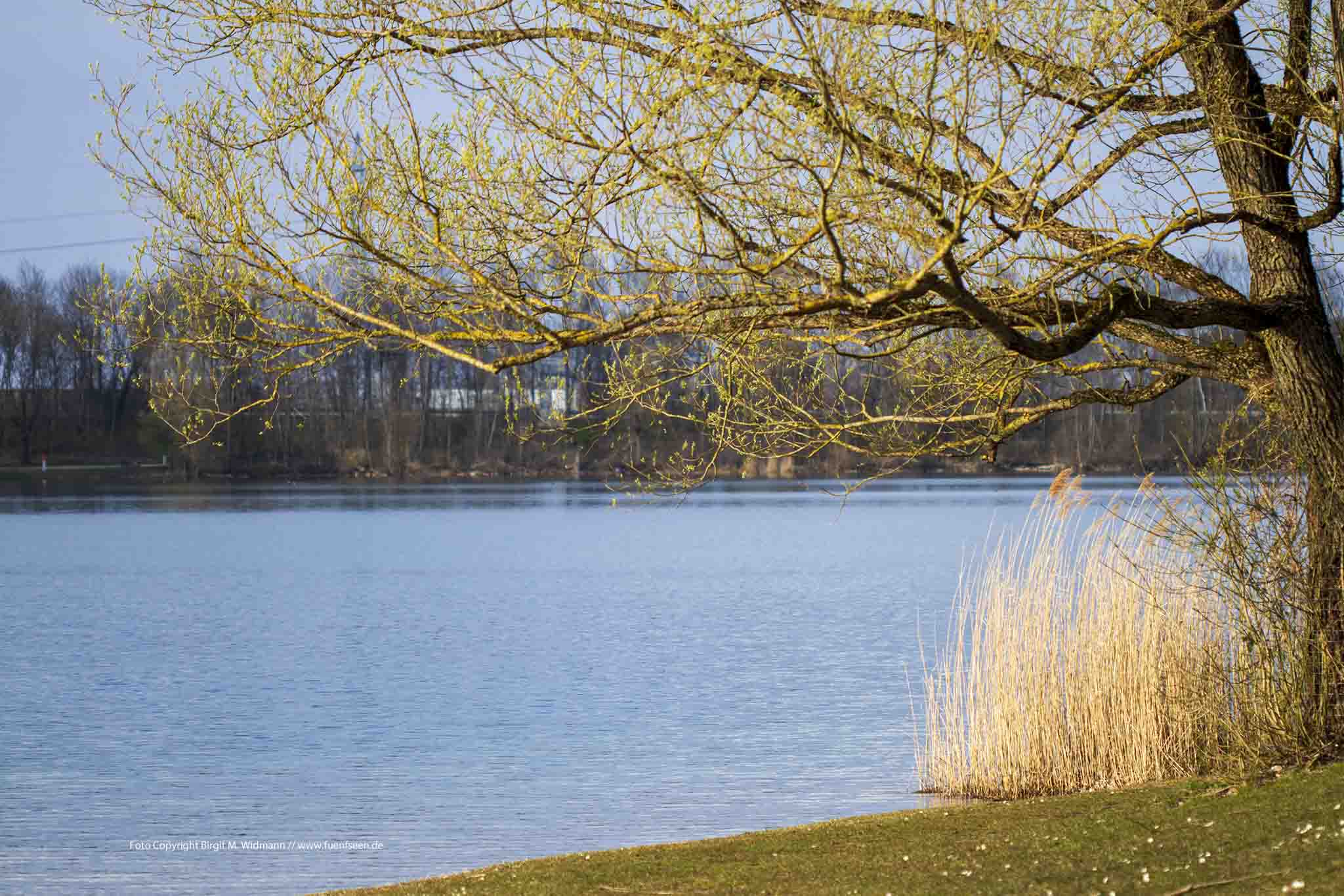 feringasee bei münchen frühling