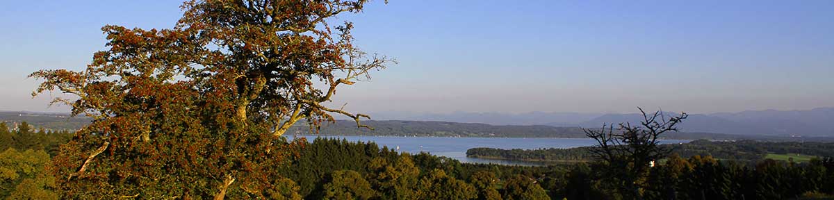 Wandertipp Starnberger See hier der Blick vo der Ilkahöhe Richtung Starnberger See