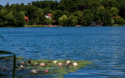 Adressenverzeichnis Tourismus bayerische Seen 24 Der Wesslinger See
