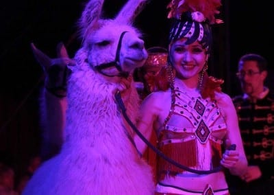 1200 B150402IMG 6940