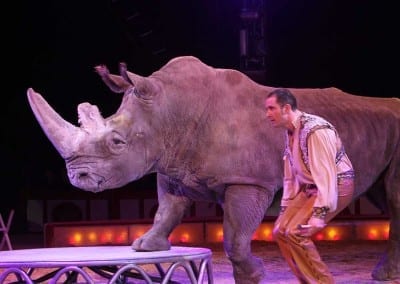 1200 B150402IMG 6979