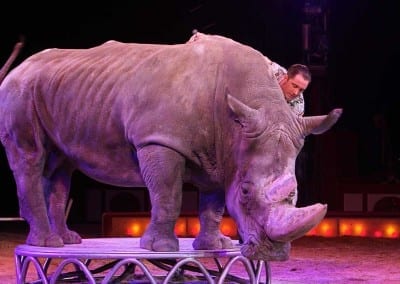 1200 B150402IMG 6992