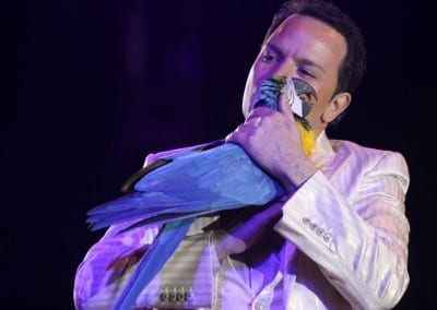 1200 B150402IMG 7547