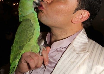 1200 B150402IMG 7962