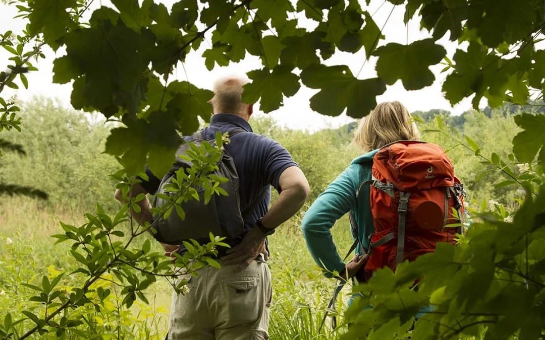 Das war die Wildblumenwanderung