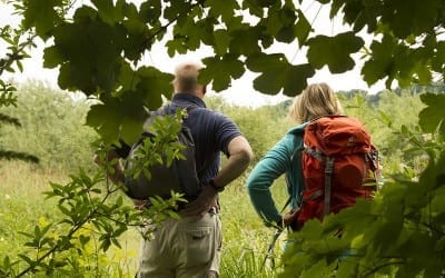 ab 02.02.2023 Kurtheater Tutzing Kinoprogramm 37 Das war die Wildblumenwanderung