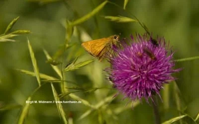 auch wenn Du Dich klein fühlst, bist Du mächtig