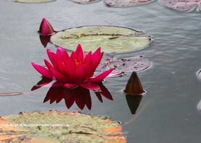 Locationscout Top Adressen Hochzeitsplanung Bayern am See