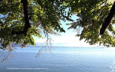 10. - 14.05.2023 großes Reitfest Erdbeerhof Glantz 37 geführte Wanderungen mit Birgit M. Widmann