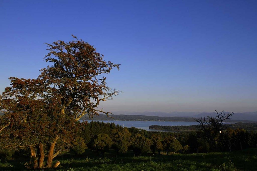 Ilkahöhe Tutzing Rauhnachtwanderung