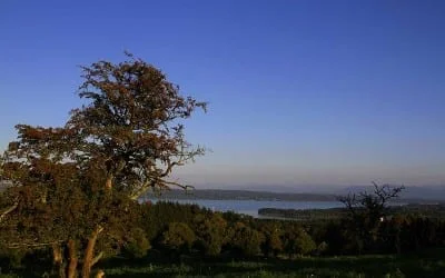 22.12.2025 Rauhnachtwanderung Ilkahöhe DANKE