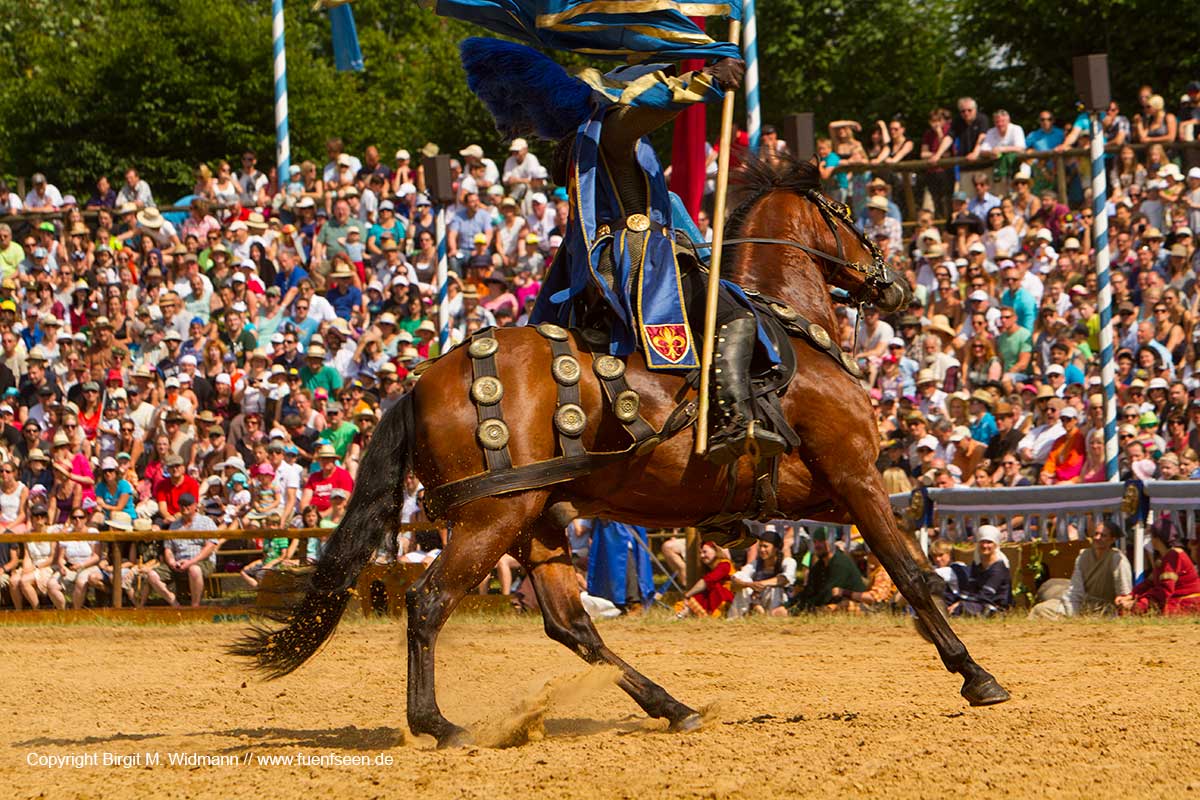 Pferd mit Reiter beim Kaltenberger Ritterturnier