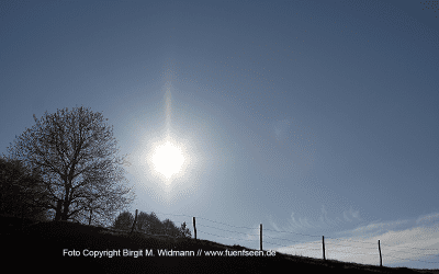 Landart – gestalten im Wald