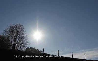Landart – gestalten im Wald