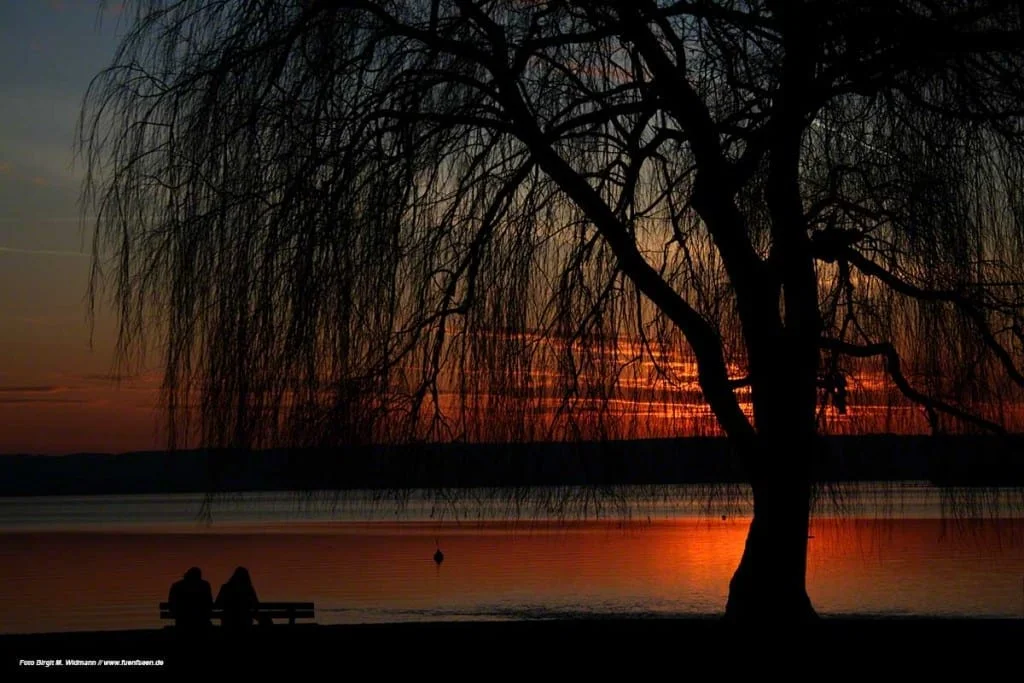 geführte Wanderung Ammersee