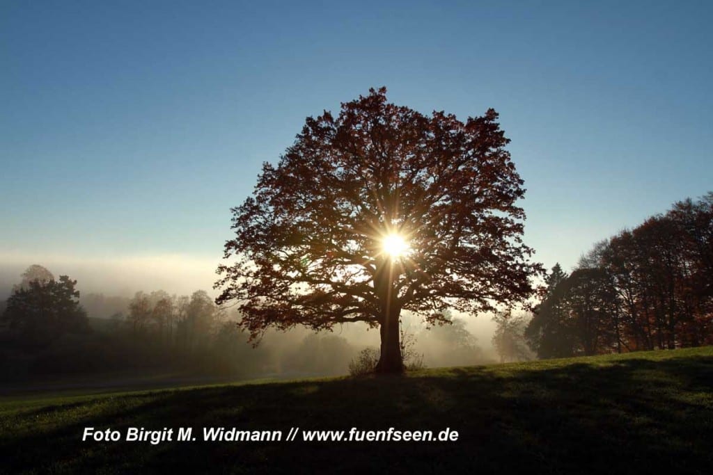 Widdersberg bei Andechs Ammersee