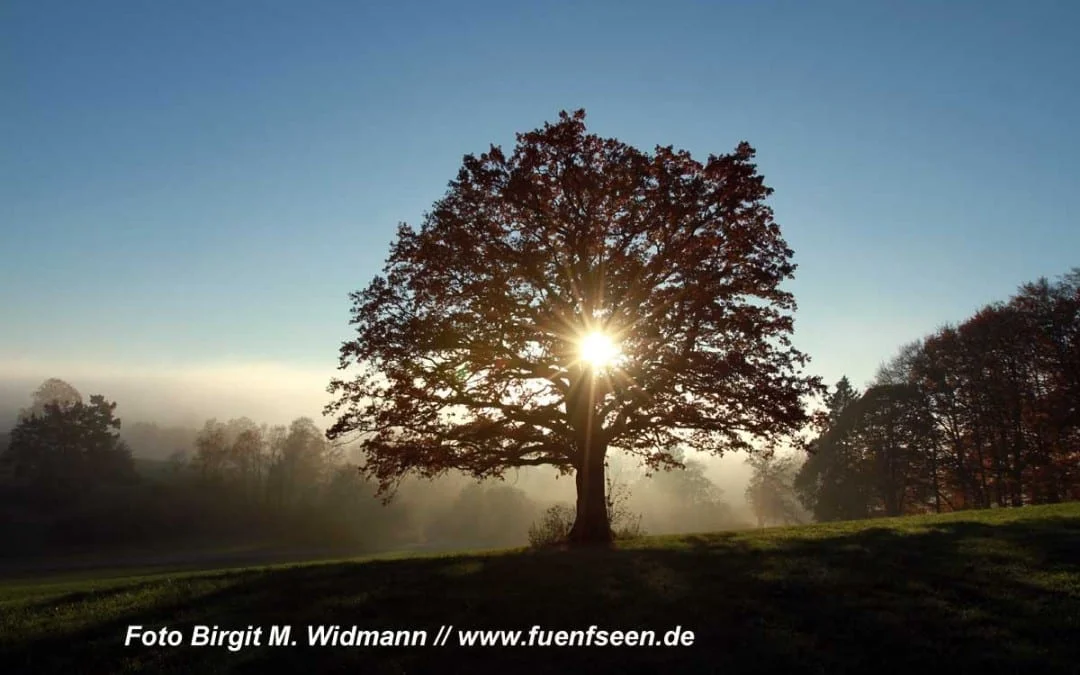 wandertipp andechs ammersee