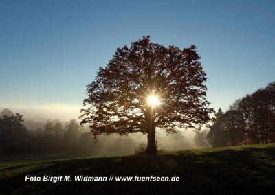 Römerstein Widdersberg Ammersee