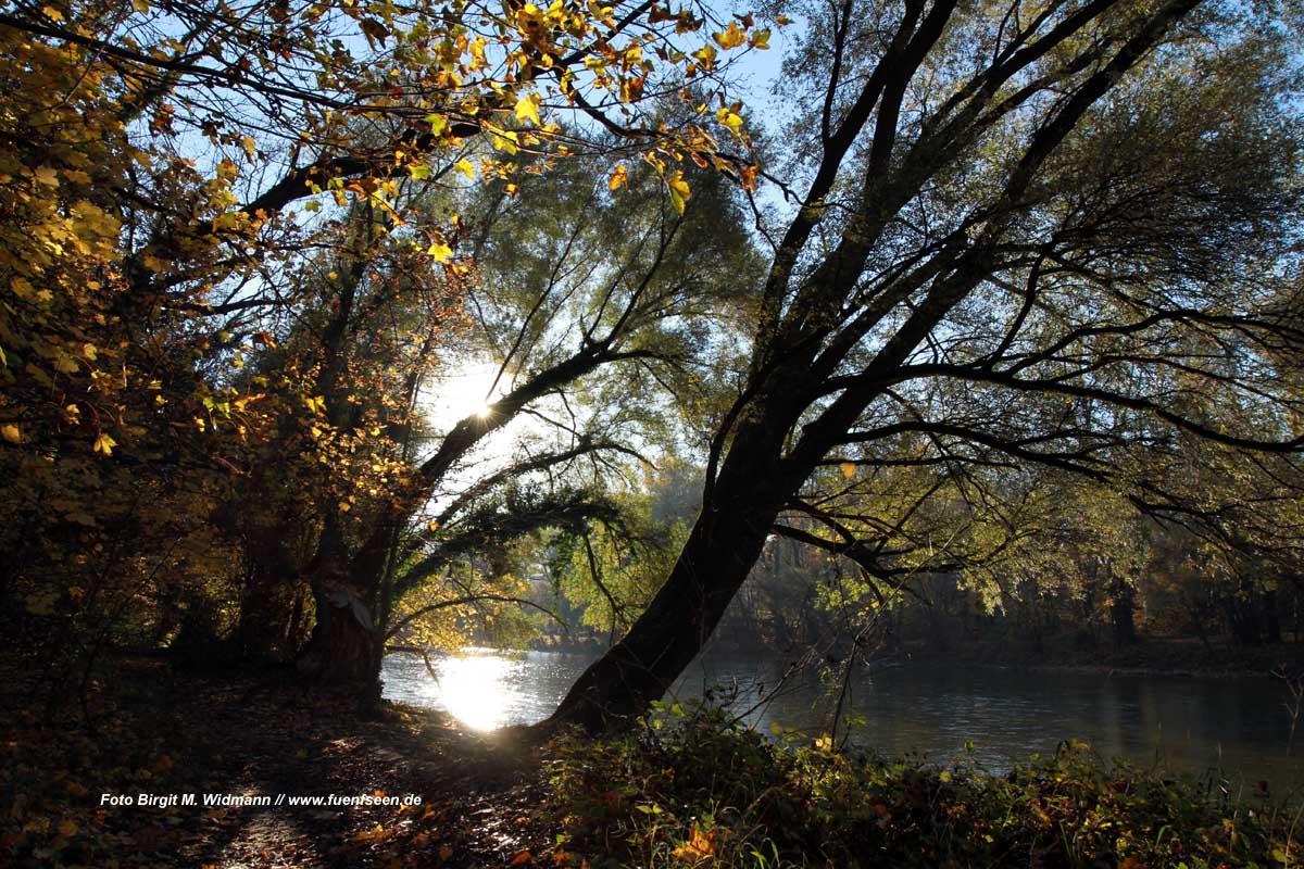 Isar München Isarlandschaft in München