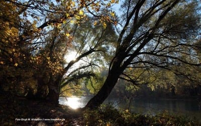 10. - 14.05.2023 großes Reitfest Erdbeerhof Glantz 37 Wandern an der Isar