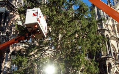 junge Chöre München mit neuer Leitung 6 Ein Christbaum für München aus Steingaden