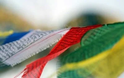 Statista – Tiktok und Social Media