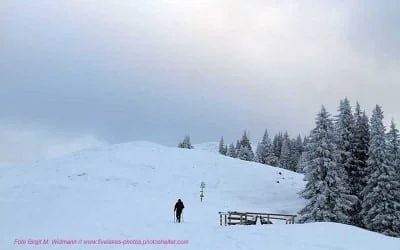 freie Kunstanstalt Diessen 1 Heimeliges Winterangebote