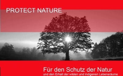 Zeige Dich am 12.12. ab 12 Uhr für das Klima