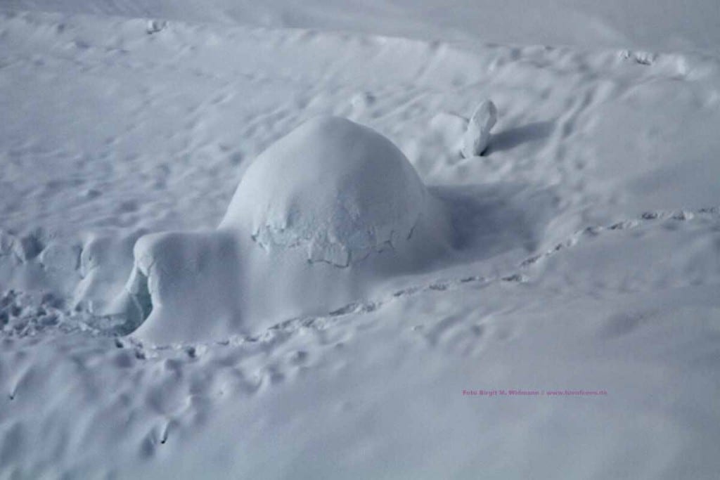 Iglubau auf dem dachstein