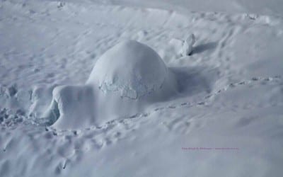 Skitour LVS Training und Iglubau