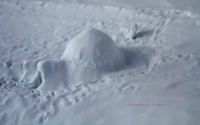 freie Kunstanstalt Diessen 1 Iglubau am Dachstein