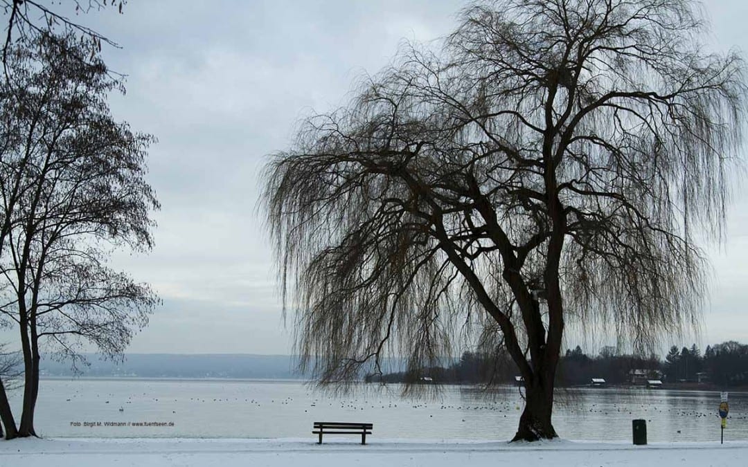 Winter im Fünfseenland