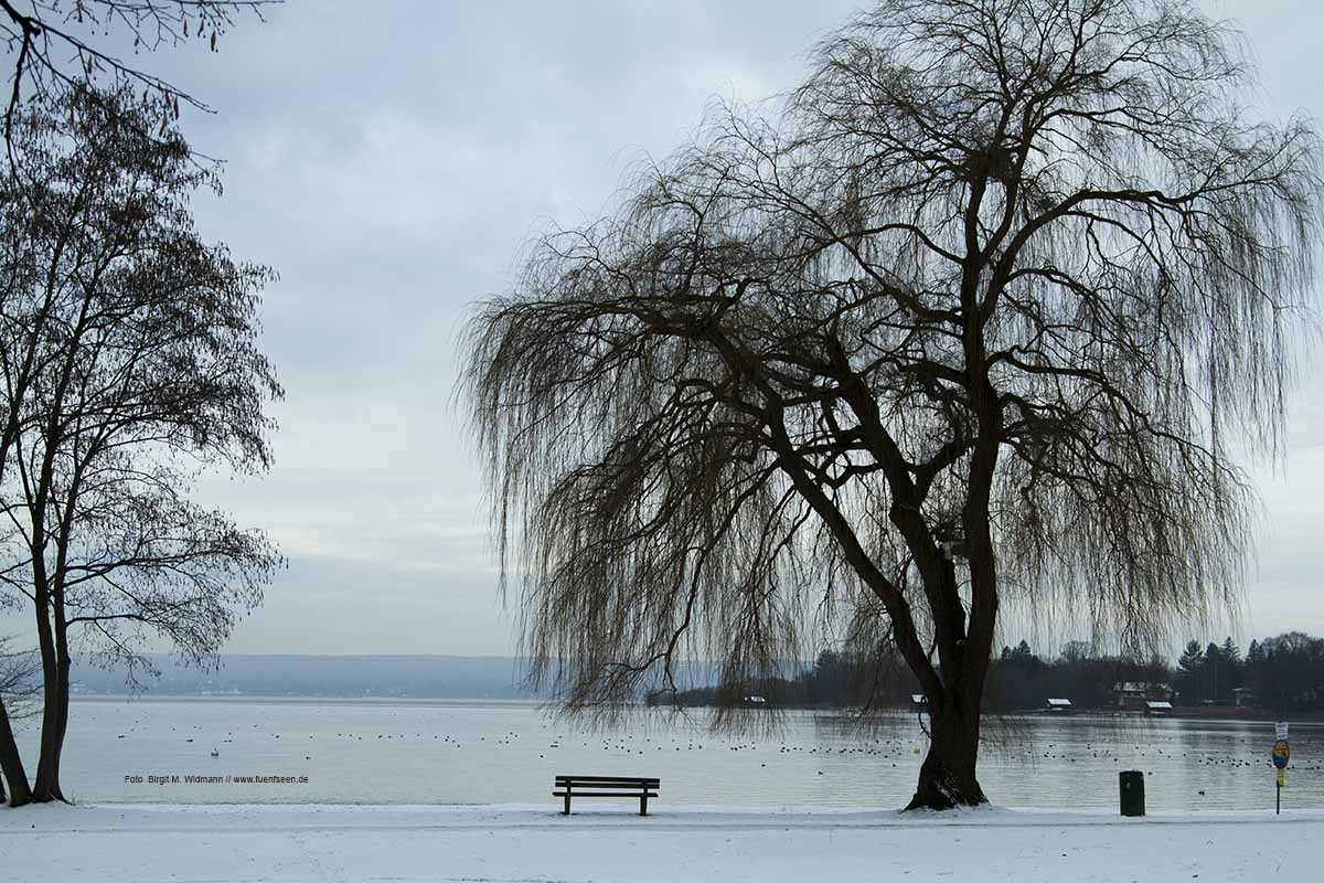 Winter am Ammersee