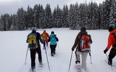 ab 02.02.2023 Kurtheater Tutzing Kinoprogramm 37 Lawinenkunde und Schneeschuhwandern