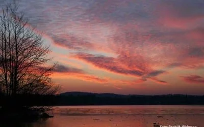 Erholungsgebiet Ambach am Starnberger See