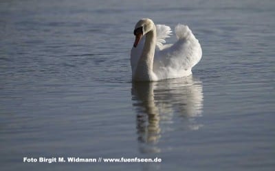 16.07.2023 Münchner Kocherlball 38 Frühlingserwachen am See