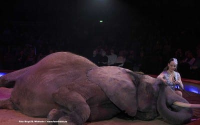 Circus Krone Jana Mandana