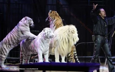 Zeige Dich in Deiner Echtheit